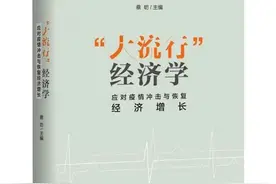 疫情冲击和应对政策的特征化事实图片