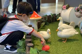 Luka机器人最高直降700元，还能撸鸭撸狗，6月来百脑汇遇见“惊喜”图片