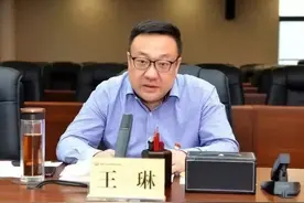 西安常务副市长王琳，跨市任渭南代市长图片