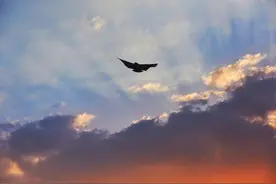 图集｜夕阳西下晚霞满天 飞机在黄昏下飞行图片