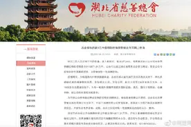 湖北慈善总会：可快速查询每一笔捐赠款物图片