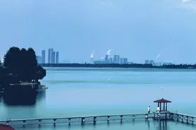 武汉湿地公园的昼与夜图片