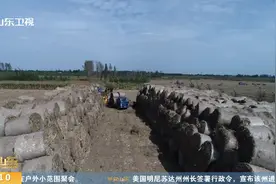 动真格！山东严惩秸秆焚烧“第一把火”，重处违规焚烧秸秆责任人视频封面