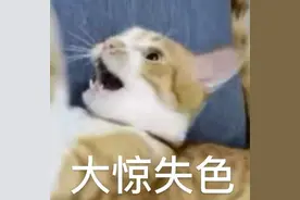 地铁上竟有这种人？马上举报图片