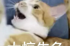 地铁上竟有这种人？马上举报图片