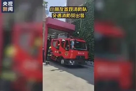 小朋友遇消防员出警秒变迷弟，网友：这才是该追的人图片