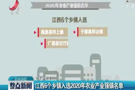 江西6个乡镇入选2020年农业产业强镇名单视频封面