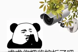 委员建议国家帮忙找对象！齐齐哈尔共青团表示：安排！图片