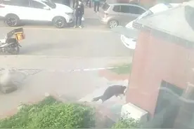 突发！长春一老人坠楼，急寻家属图片
