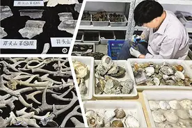 距今8000年左右！余姚发现史前贝丘遗址图片