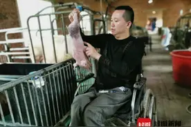 轮椅上的“养猪达人”叶利康：要让妻子和女儿过上好日子图片