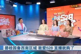 518万人次围观！闪电新闻+碧桂园鲁西南区域528敢爱直播购房节圆满收官图片