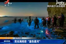 辽宁大连：荧光海宛若“蓝色星河”视频封面