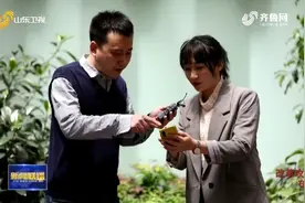 「改革攻坚在行动」一盒韩国面膜折射的山东外贸业态之变图片