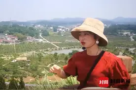 江油市“多级突破”巩固脱贫成果图片