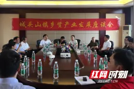 澧县城头山镇：弘扬乡贤力量 助力乡村振兴图片