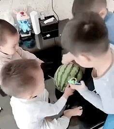 这是被人类幼崽萌到的第N次图片