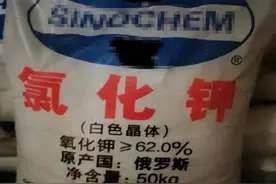 解读｜一篇搞懂钾肥进口那些事图片