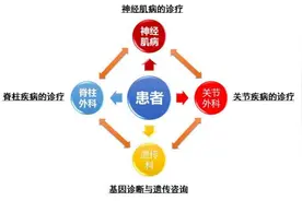 南京鼓楼医院脊柱—骨关节遗传病多学科综合门诊6月3日起开诊图片
