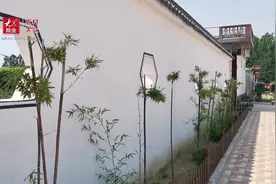 视频|6年建起草莓产业链，这位美女村支书真不简单视频封面