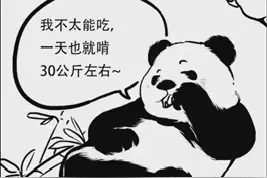 四川人骑熊猫上学吗？小朋友的问题熊猫今天统一“接受采访”回复一下视频封面