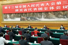 两会之后怎么干？湖北浴火重生开新局图片
