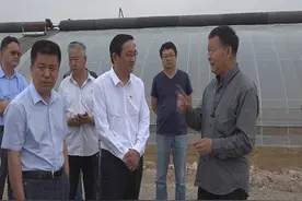 国家桃产业技术体系首席科学家姜全一行来泰安肥城指导肥城桃产业发展工作视频封面