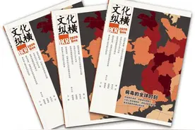 王立胜：如果无法叫停合村并居，我们必须争取什么？| 文化纵横图片