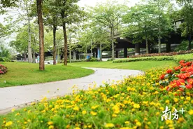 免费！来海珠参观广州七星岗古海岸遗址科学公园图片