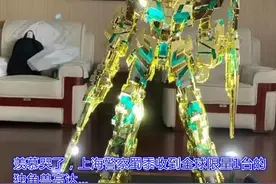 酸了！沪上检察官收到六一礼物，还是全球限量发光手办→图片