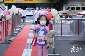 有笑有泪！广州26.7万“小神兽”归笼图片