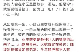 杭州一小区接连出现3条蛇，还是三角头......女业主吓到崩溃：是不是有蛇窝了图片