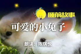 睡前故事丨可爱的小兔子图片