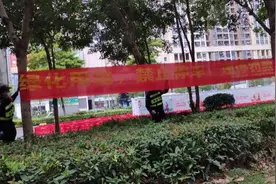 车停在绿化带就不算违停？3000元起！龙华区刚罚了一批图片