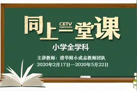 118天，816节微课，6.54亿点击量……请看清华附小的成绩单图片