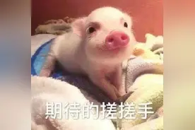 今天开售！杭州南站7月的列车票可以买了！都可以去哪里？图片