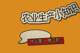 农业生产小知识：什么是“一喷三防”视频封面