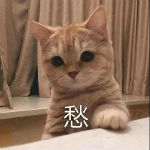 胶原蛋白可以让脸饱满么 2026年胶原蛋白可以让脸部变饱满吗