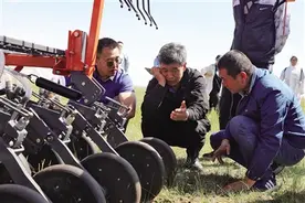 草色青青柳色浓，茫茫碧野绿茵屏图片