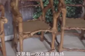 高手在人间！67岁老农耗时17年种出“椅子树”视频封面