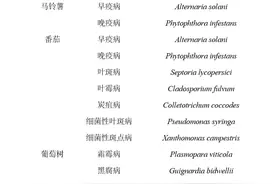 代森锰锌禁用风险不断增加 如何寻找和选择替代品？图片