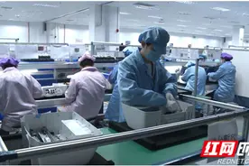 岳阳：真抓实干优化服务 全力推进高质量发展图片