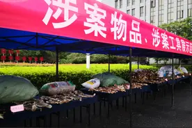 杭州男子老宅被查！打开冰柜，所有人都怒了...图片