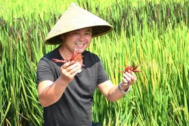 第三次创业选择养小龙虾 80后夫妻回村包200亩地，“稻虾共作”带动周边13户村民致富图片