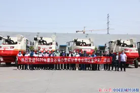 购谷神、战三夏，雷沃谷神甘肃用户再度上演“掘金行动”图片