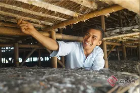 云南景谷永平镇：易地搬迁户产业后发扶持有力图片