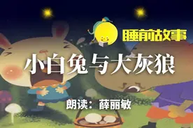 睡前故事丨小白兔与大灰狼图片