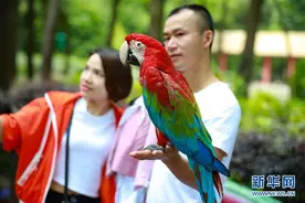 贵阳：动物园有序开放图片