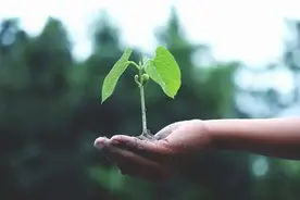 “气吸式”甜玉米精量播种机，这样使用效率更高哦！图片