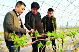 龙口七甲镇乡村振兴服务队：把小事做实 把实事做好图片